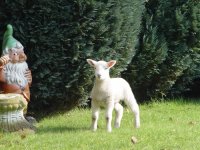 Zum Vergr&ouml;ssern bitte hier klicken !