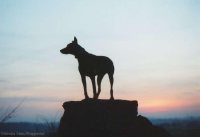 Zum Vergr&ouml;ssern bitte hier klicken !